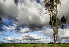 新疆最后一轮焦点战：刘炜重返主场冲前4 萨林杰有望复出锁定第10.