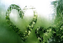 扎心了西蒙斯过去两个赛季打了61场比赛＞恩比德的58场.