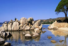 B体育官网：[图]U20亚洲杯-蒯纪闻破门 国青2-1卡塔尔迎开门.